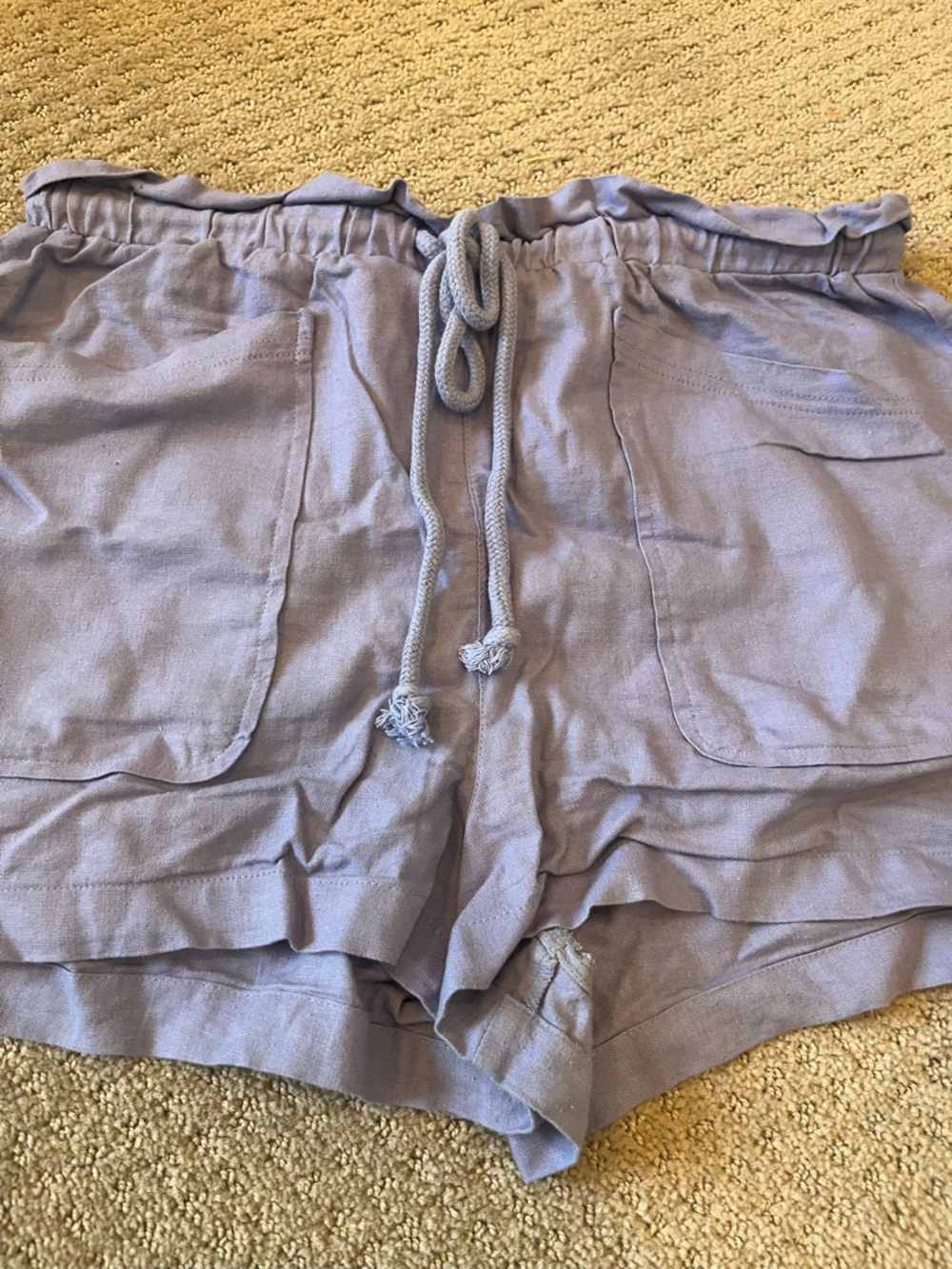 Universal Thread Periwinkle Shorts - Picture 4 of 9